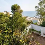 Rosa Seaview In *