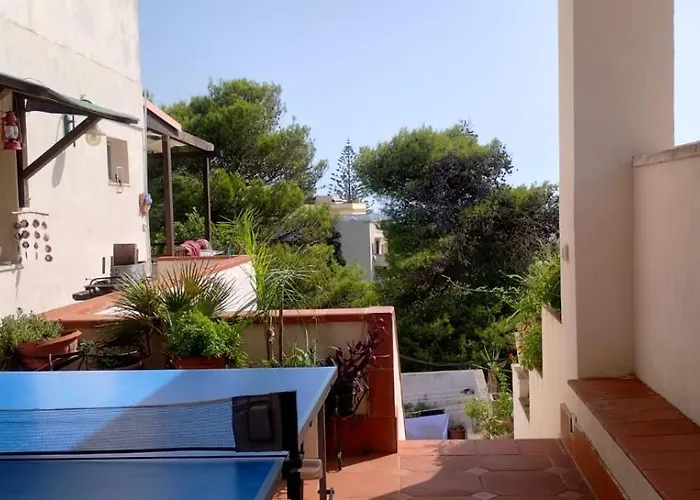 Rosa Seaview In *