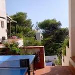 Rosa Seaview In *