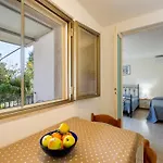 Rosa Seaview In