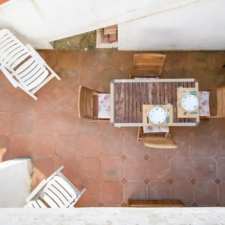 Rosa Seaview In