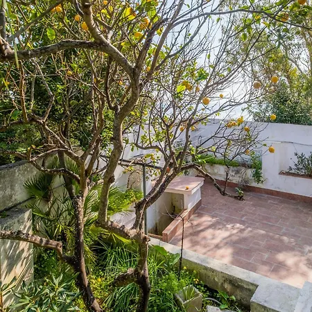 Rosa Seaview In * Santa Cesarea Terme